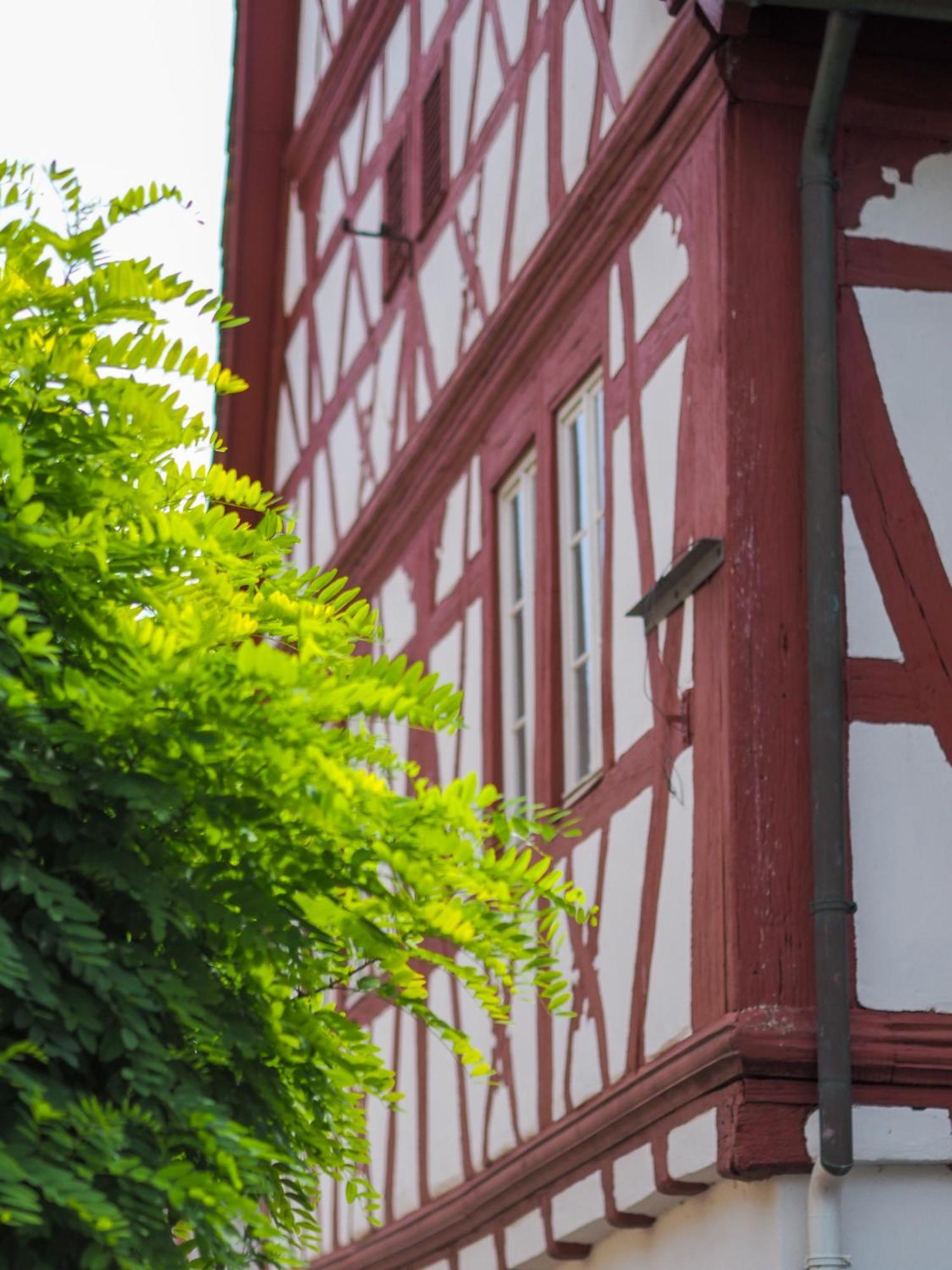 Weinstrasse No 8 "Einfach-Gut-Uebernachten" Leinsweiler Eksteriør billede